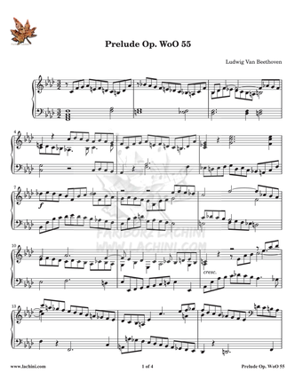 Prelude Wo O55 Sheet Music